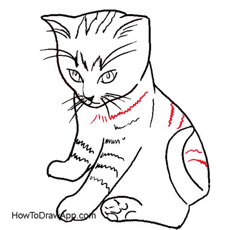 If you are looking for cat outline drawing easy you've come to the right place. Simple Cat drawing Examples anyone Can Try - photofun4ucom