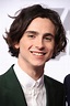 Timothee Chalamet at the 90th Annual Academy Awards Nominee Luncheon in ...