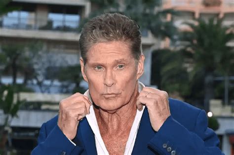 Does David Hasselhoff Wear A Wig Disease And Death Rumors