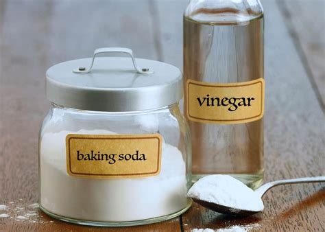 Sprinkle some soda on the surface of the coffee maker. How to Clean a Coffee Maker: 10 Makers (Drip, French Press ...