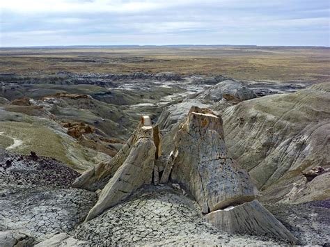 A Petrified Tree Stump Above A Ravine Through The Badlands In The