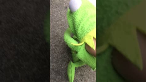 Kermit Finally Dies Youtube