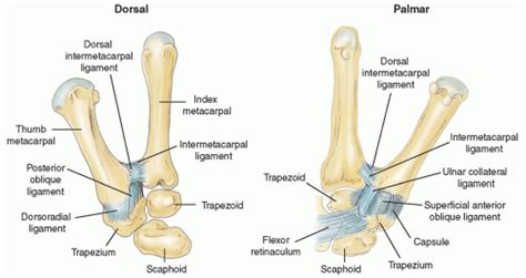 Thumb Cmc Joint Arthroplasty