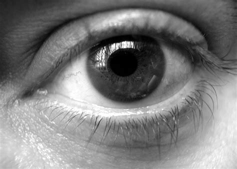 Eye Free Stock Photo Public Domain Pictures