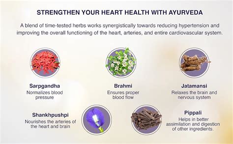 Buy Maharishi Ayurveda Cardimap Normalises Blood Pressure Naturally