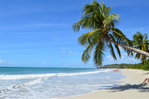 The 7 Best Beaches In Martinique And Where To Find Them
