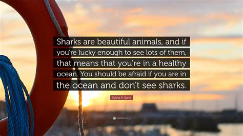 Sylvia A Earle Quote Sharks Are Beautiful Animals And If Youre