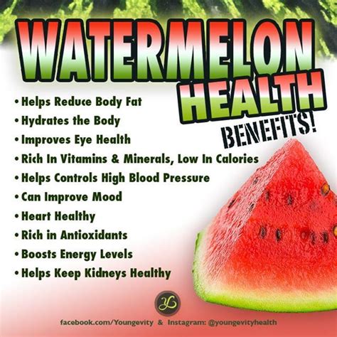 Incredible Benefit Of Watermelon Seed 2022 Rawax