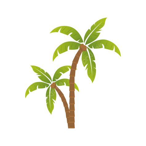 Vector De Palmera Png Png Palmera Png Palmera Arboles Png Y Vector