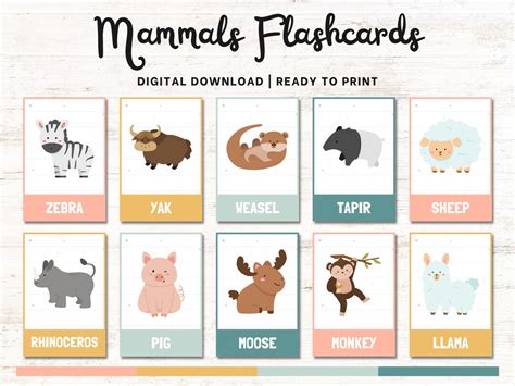 20 Mammals Printable Flashcards Montessori Cards Educational Etsy