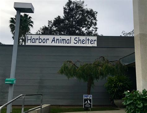 Los Angeles County - Pet Harbor Animal Shelter - Love4RAnimals