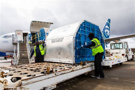 Air Cargo Planes Ramp Up Deliveries Amid Supply Chain Crunch Los