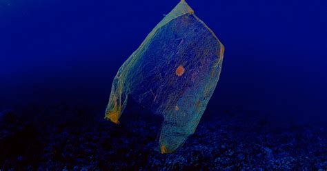Diver Reaches Record Ocean Depth — And Finds A Plastic Bag