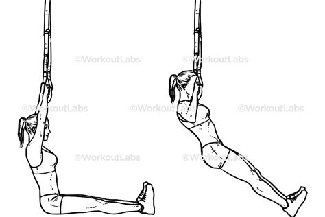 Bent Over Barbell Rows Workoutlabs Exercise Guide