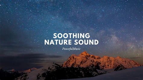Soothing Nature Sound Nighttime Youtube