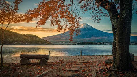 1920x1080 Forest Mountain Japan Japanese Nature Scenery Fuji