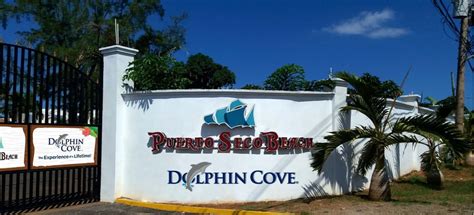 Dolphin Cove Puerto Seco Beach Discovery Bay All You Need To Know