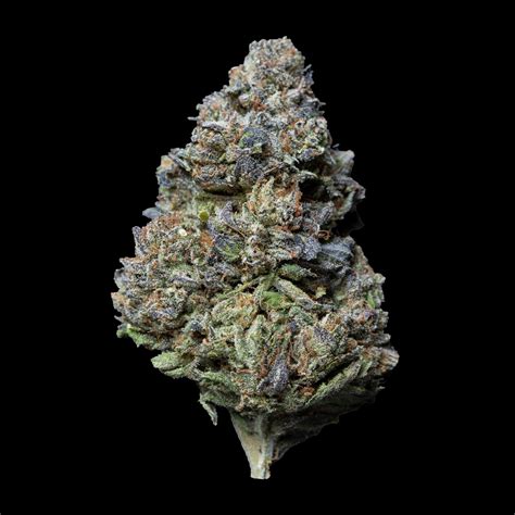 Kush Mints Strain Allbud