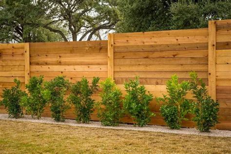 40 Diy Backyard Privacy Fence Design Ideas On A Budget