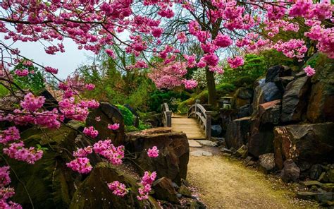 Zen Spring Wallpapers Top Free Zen Spring Backgrounds Wallpaperaccess