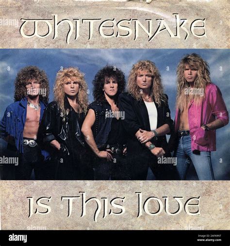 Whitesnake Album Covers