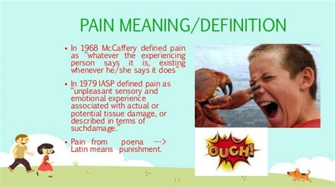Pain And Theories Of Pain