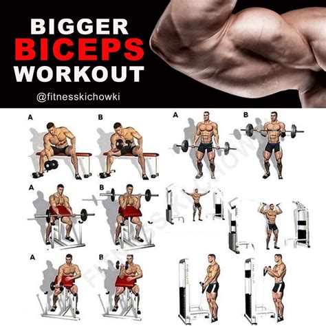 Bigger Biceps Workoutfitness Ki Chowkifkc Big Biceps Workout