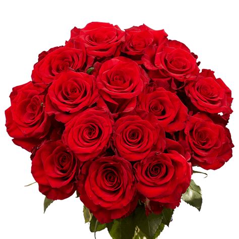 50 Stems Of Red Paris Roses Fresh Flower Delivery