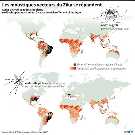 Distribution Of Aedes Aegypti And Aedes Albopictus Larval Habitats