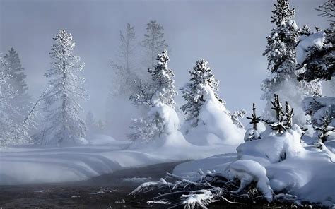 Snow Fall Wallpapers Wallpaper Cave