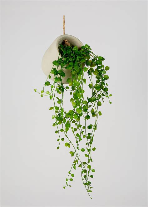 Hanging Plant (45cm) - Green | Hanging plants, Hanging plant wall, Artificial hanging plants