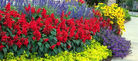 Maybe you would like to learn more about one of these? Flower Bed Garden Design Ideas and Tips from the Experts ...
