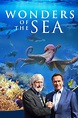 Wonders of the Sea 3D (2017) - Posters — The Movie Database (TMDB)