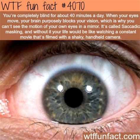 Pin On Wtf Funfacts