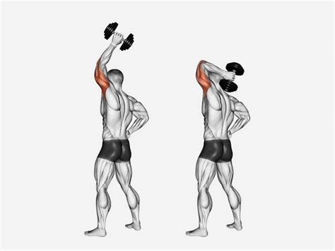 10 Best Tricep Exercises For Men Man Of Many