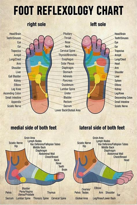 Massage Poster Massage Therapist Foot Reflexology Chart Etsy
