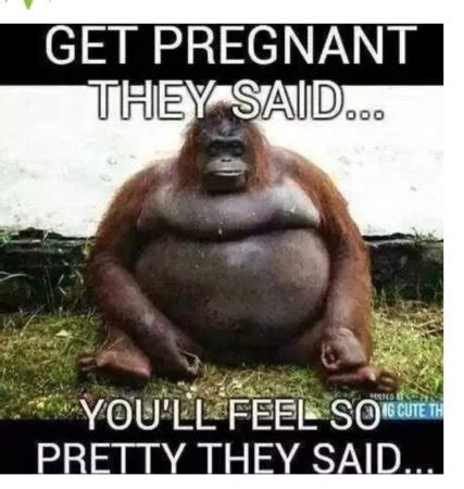 Any Funny Pregnancy Memes BabyCentre
