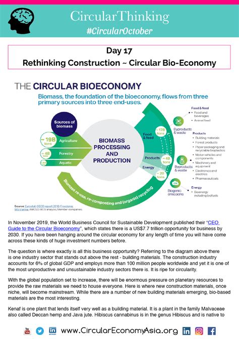 Rethinking Construction - Circular Bio-economy | Circular economy, Knowledge, Fact sheet