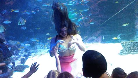 Out And About The Weeki Wachee Mermaids Visit Sea Life Orlando