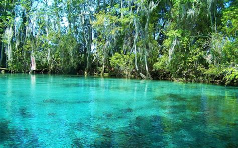 Three Sisters Springs An Amazing Cant Miss Vacation Spot For 2022