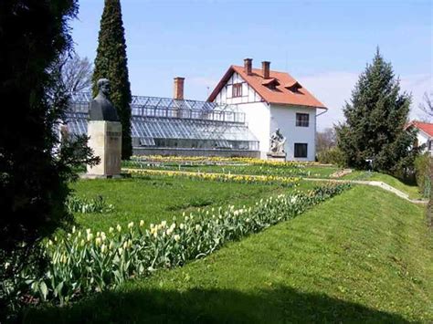 Gradina Botanica Din Cluj Napoca Obiective Turistice De Vizitat In