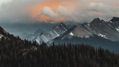 Download Wallpaper 1920x1080 Mountains Forest Clouds Mountain Range