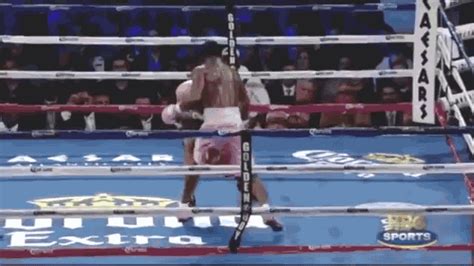 Boxing Problem  Find And Share On Giphy