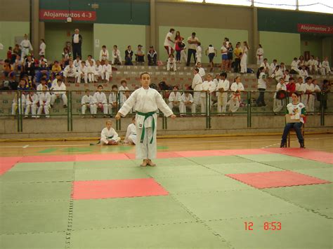 Dsc06487 Karateblumenau Flickr