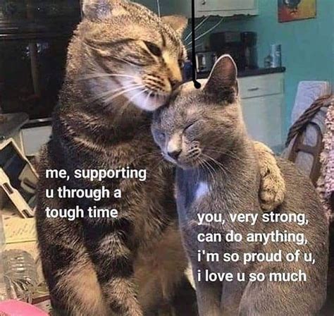 Pin By Rachael On Wholesome Memes And Such Cute Love Memes Cute
