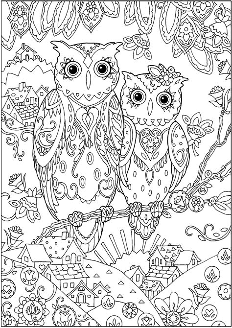 Two Owls Owls Adult Coloring Pages