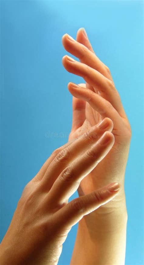 руки стоковое изображение изображение насчитывающей руки 5417767
