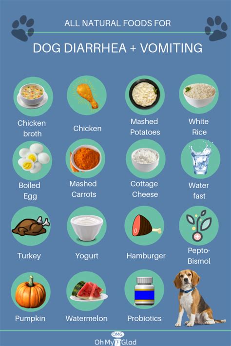 What Dog Owners Ought To Know About Dog Food Allergy Diet Foods Dogs