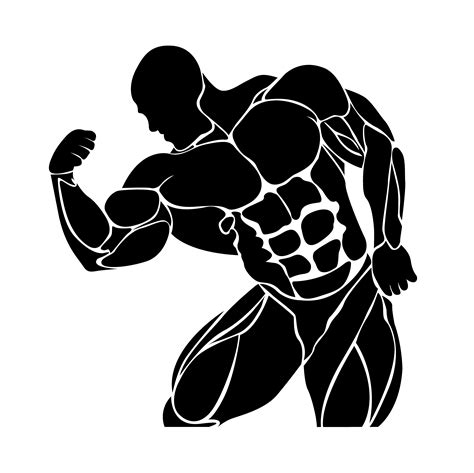 bodybuilding powerlifting vector healthcare illustrations ~ creative market