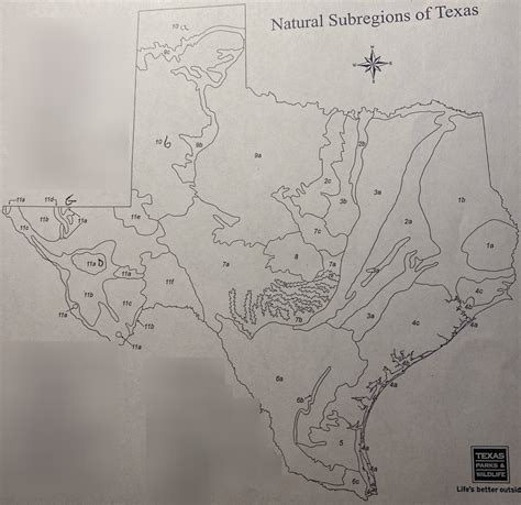 Natural Subregions Of Texas Map Labeling Diagram Quizlet
